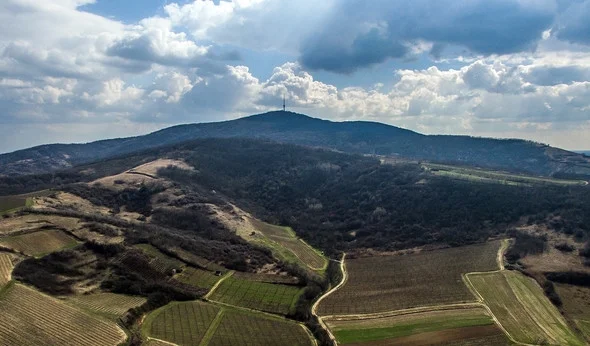 Around the Tokaj Hill
