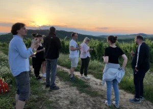 degustacje wina Tokaj