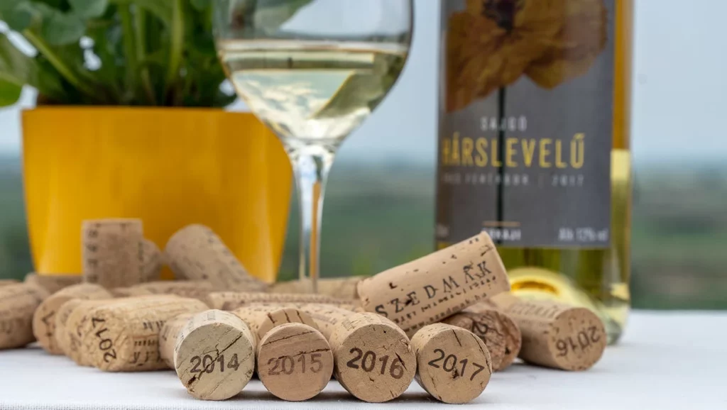 pożegnanie lata w Szedmak Borhaz