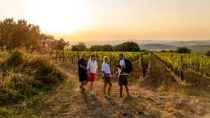 wina Szedmak Tokaj Węgry