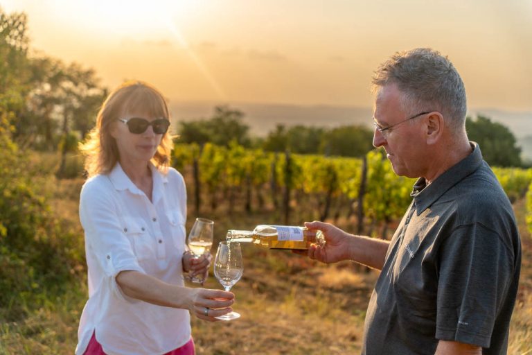 film o szedmak borhaz